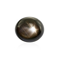  Saphir étoilé noir 21,717 ct (gemme et boîte de collection)