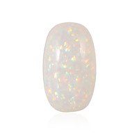  Opale Welo 13,348 ct (gemme et boîte de collection)