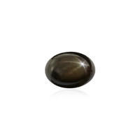  Saphir étoilé noir 1,305 ct (gemme et boîte de collection)