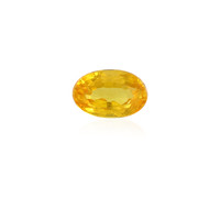  Saphir jaune 0,298 ct (gemme et boîte de collection)
