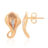 Boucles d'oreilles en argent et Diamant I1 (G)