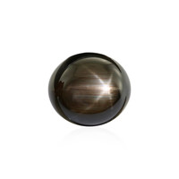  Saphir étoilé noir (gemme et boîte de collection)