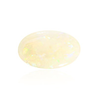  Opale Welo AAA 28,215 ct (gemme et boîte de collection)