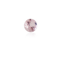 Morganite de Madagascar 0,081 ct (gemme et boîte de collection)