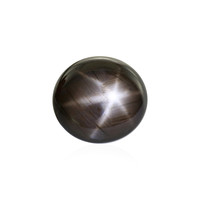  Saphir étoilé noir 33,309 ct (gemme et boîte de collection)