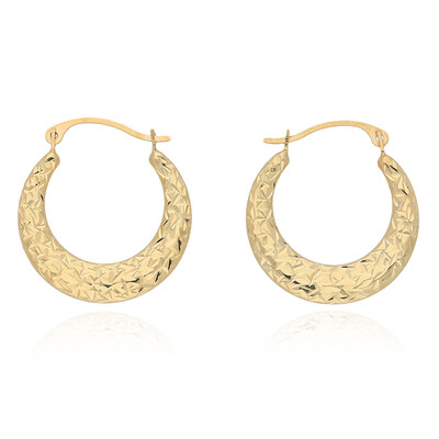 Boucles d'oreilles en or