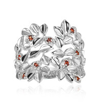 Bague en argent et Grenat du Mozambique