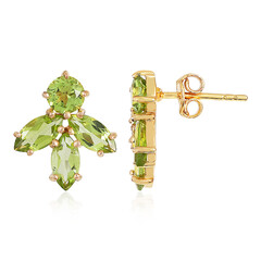 Boucles d'oreilles en argent et Péridot