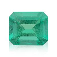  Emeraude de Muzo (gemme et boîte de collection)