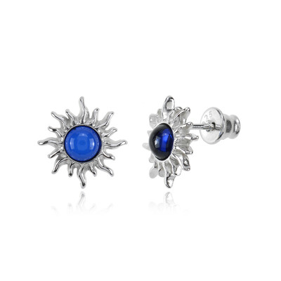 Boucles d'oreilles en argent et Ambre bleue de Colombie (dagen)