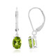 Boucles d'oreilles en argent et Péridot de Birmanie
