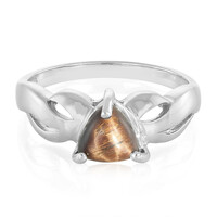 Bague en argent et Œil-de-tigre rouge