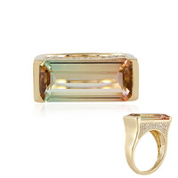 Bague en or et Tourmaline multicolore (de Melo)
