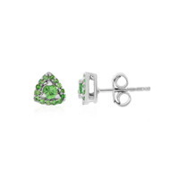 Boucles d'oreilles en argent et Grenat Tsavorite