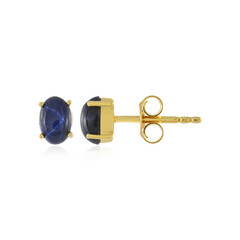 Boucles d'oreilles en argent et Saphir étoilé bleu