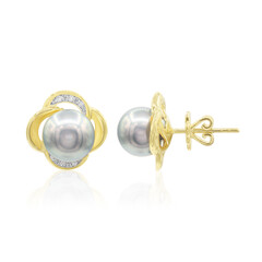 Boucles d'oreilles en or et Perle de culture de Tahiti (TPC)
