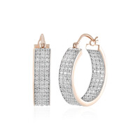Boucles d'oreilles en argent et Zircon