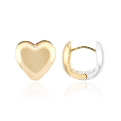 Boucles d'oreilles en argent