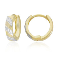 Boucles d'oreilles en or