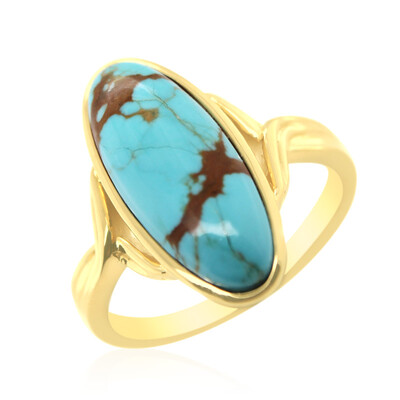 Bague en argent et Turquoise de la Mine 8 (Anne Bever)