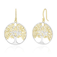 Boucles d'oreilles en argent