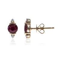 Boucles d'oreilles en or et Rubis AAA du Mozambique (CIRARI)