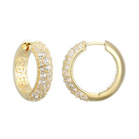 Boucles d'oreilles en argent et Zircon