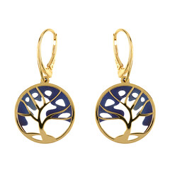 Boucles d'oreilles en argent