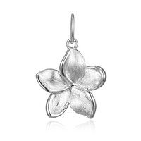 Charm en or