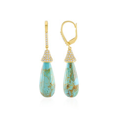 Boucles d'oreilles en argent et Turquoise