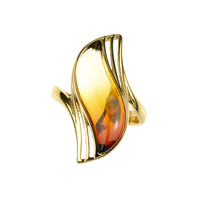 Bague en argent et Ambre baltique