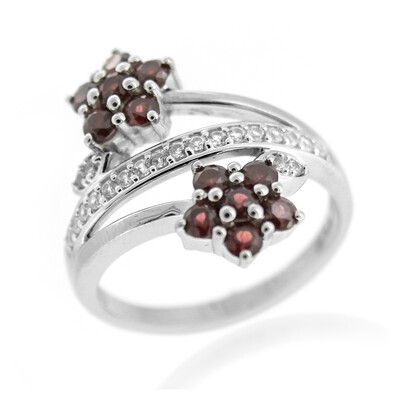 Bague en argent et Grenat Rhodolite