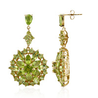 Boucles d'oreilles en argent et Péridot de Birmanie