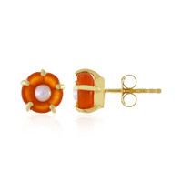 Boucles d'oreilles en argent et Cornaline