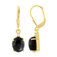 Boucles d'oreilles en argent et Diopside étoilé d'Inde
