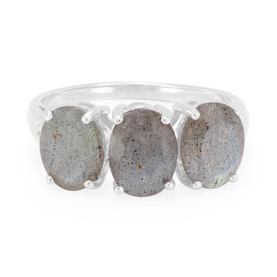 Bague en argent et Labradorite