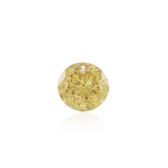  Diamant SI2 jaune 0,43 ct (gemme et boîte de collection)
