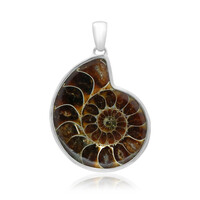 Pendentif en argent et Ammonite