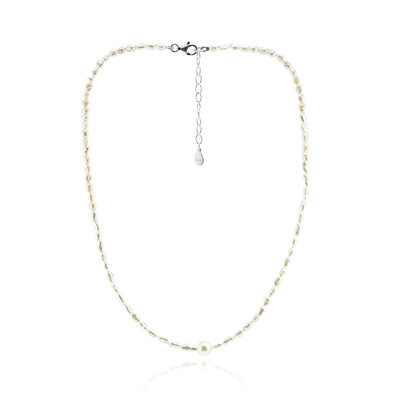 Collier en argent et Perle d'Akoya (TPC)