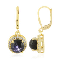 Boucles d'oreilles en argent et Diopside étoilé d'Inde
