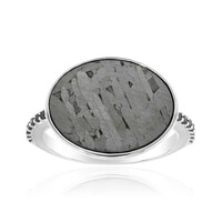 Bague en argent et Météorite d'Alétaï