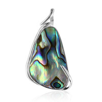 Pendentif en argent et Coquillage d'Abalone (Art of Nature)