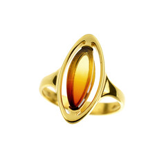 Bague en argent et Ambre baltique
