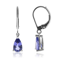 Boucles d'oreilles en or et Tanzanite