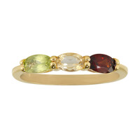 Bague en argent et Grenat