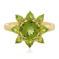 Bague en argent et Péridot