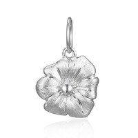 Charm en or