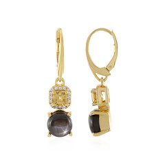 Boucles d'oreilles en argent et Saphir étoilé noir