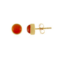 Boucles d'oreilles en argent et Cornaline