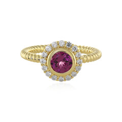Bague en argent et Grenat Umbalite